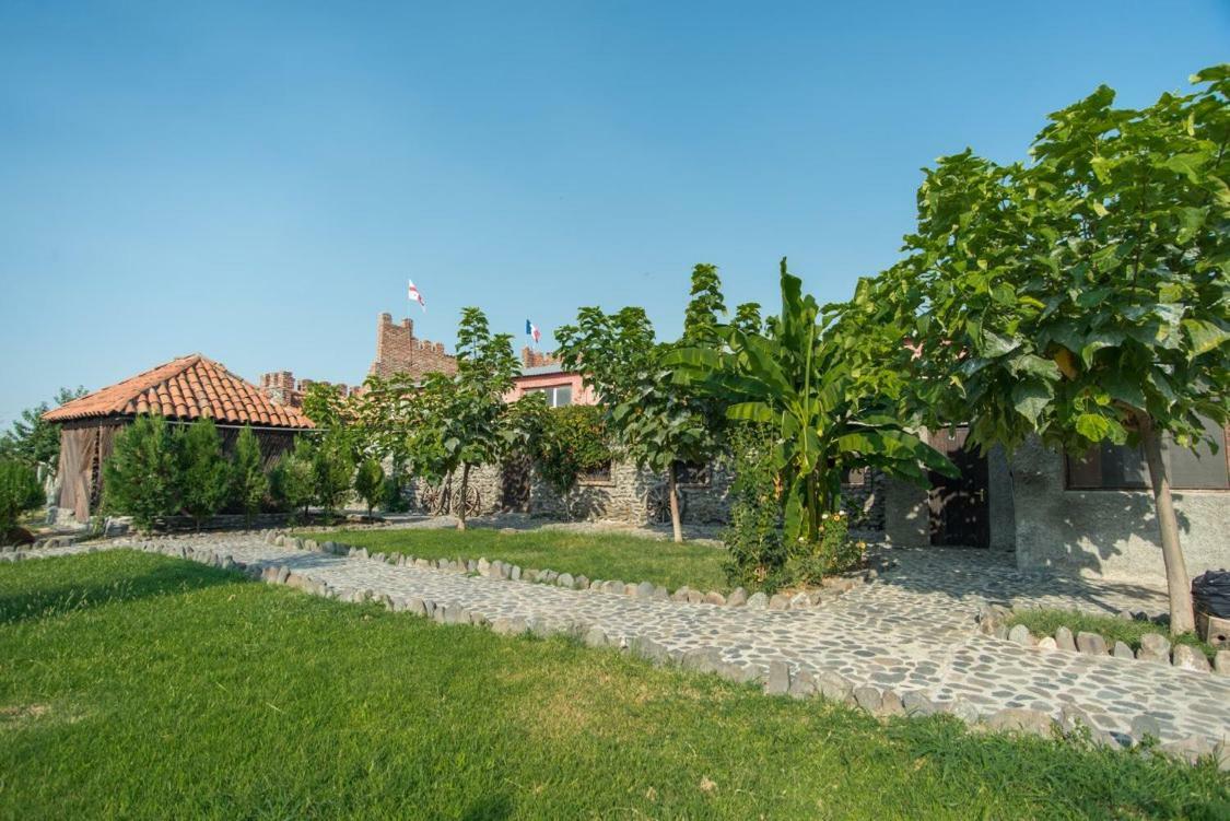 Мини-отель Chateau Bruale Tkhilistskaro Экстерьер фото